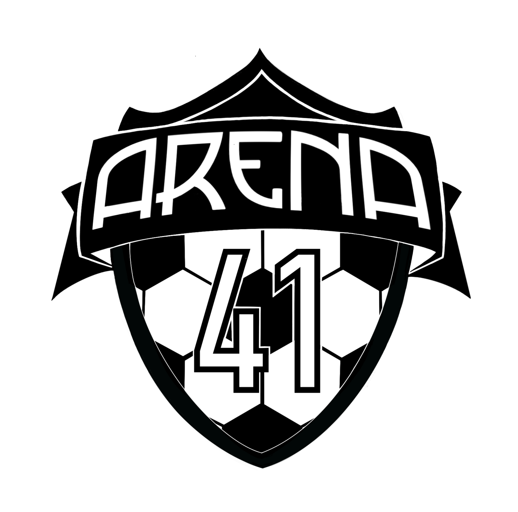 Arena 41 Sports